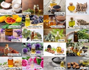 ŞİFA KAYNAĞI BİTKİSEL YAĞLARI NEREDEN BULABİLİRİZ?